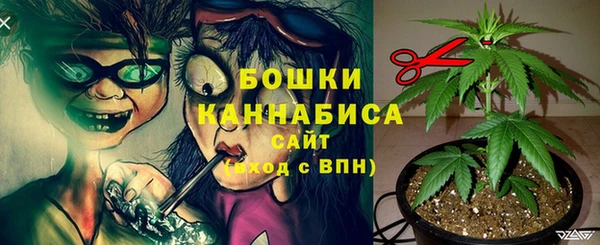 круглые Белокуриха
