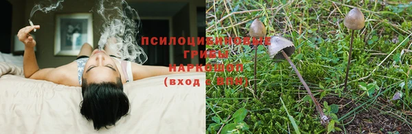 круглые Белокуриха