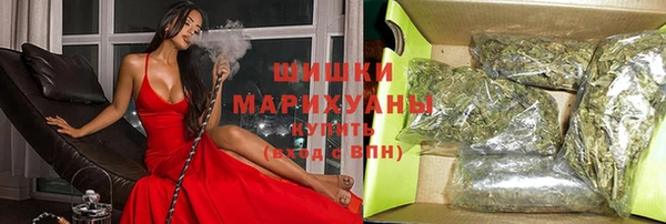 сатива Белоозёрский